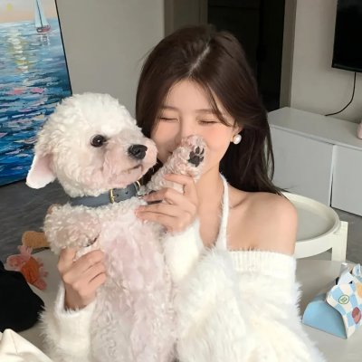 速度有激情